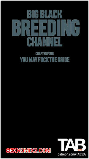 Порно комикс Большой черный канал разведения. Часть 4. Big Black Breeding Channel. TAB109.